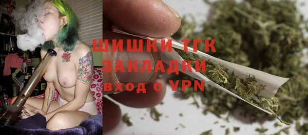 PSILOCYBIN Тайга